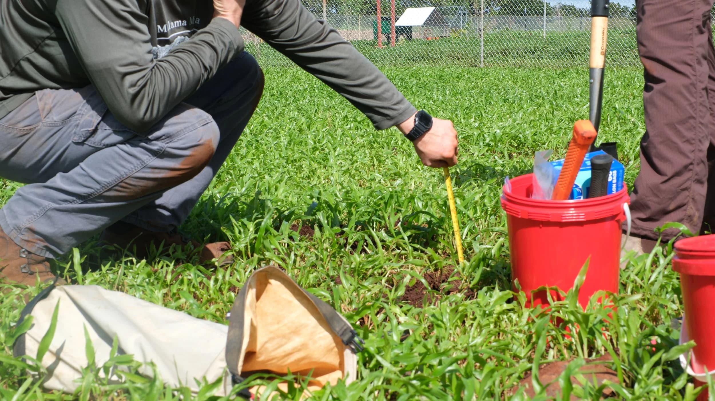 Makaliʻi Metrics soil sampling and laboratory work in Hawaiʻi
