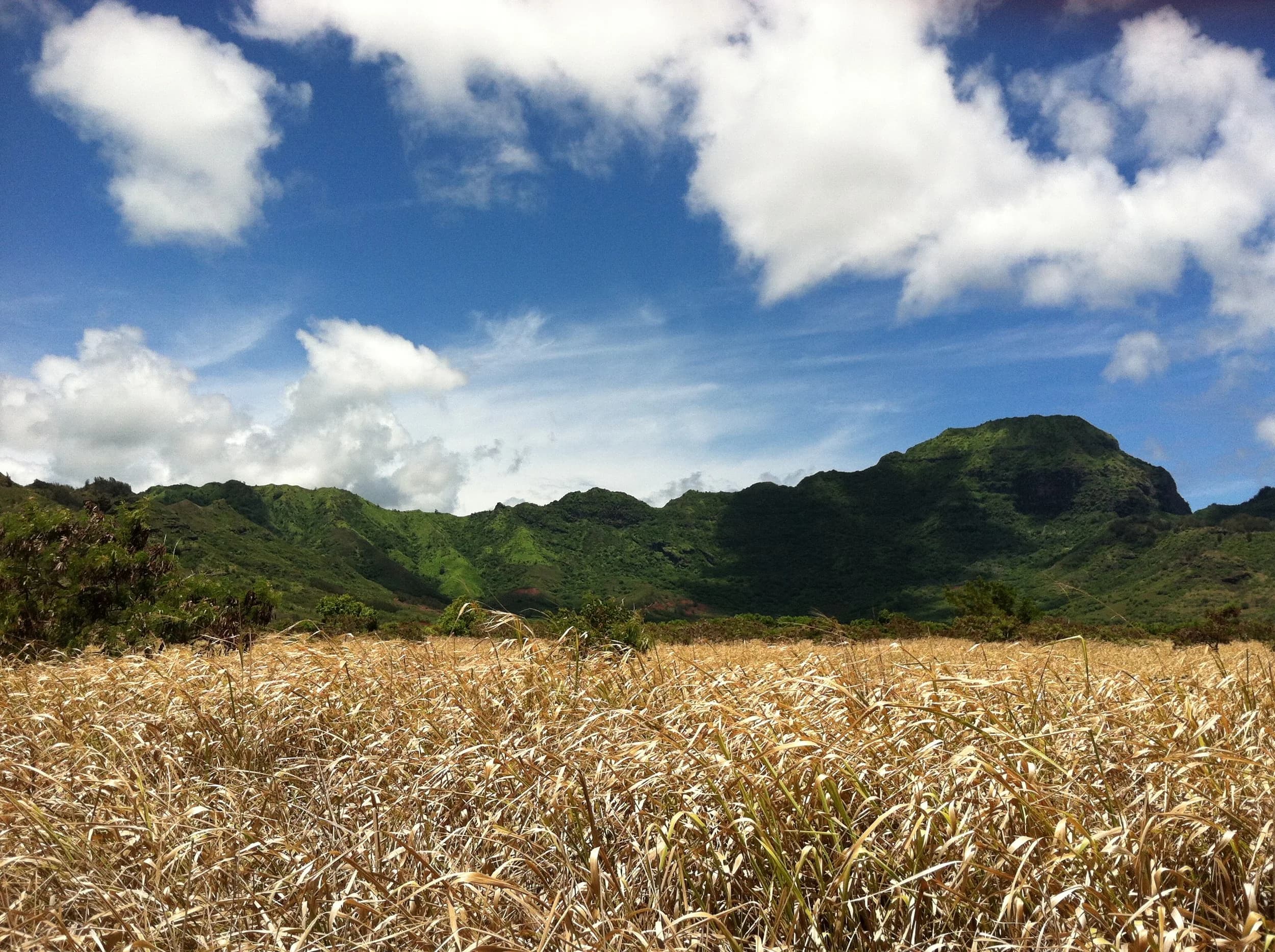The Makaliʻi Metrics team working in the field and lab across Hawaiʻi