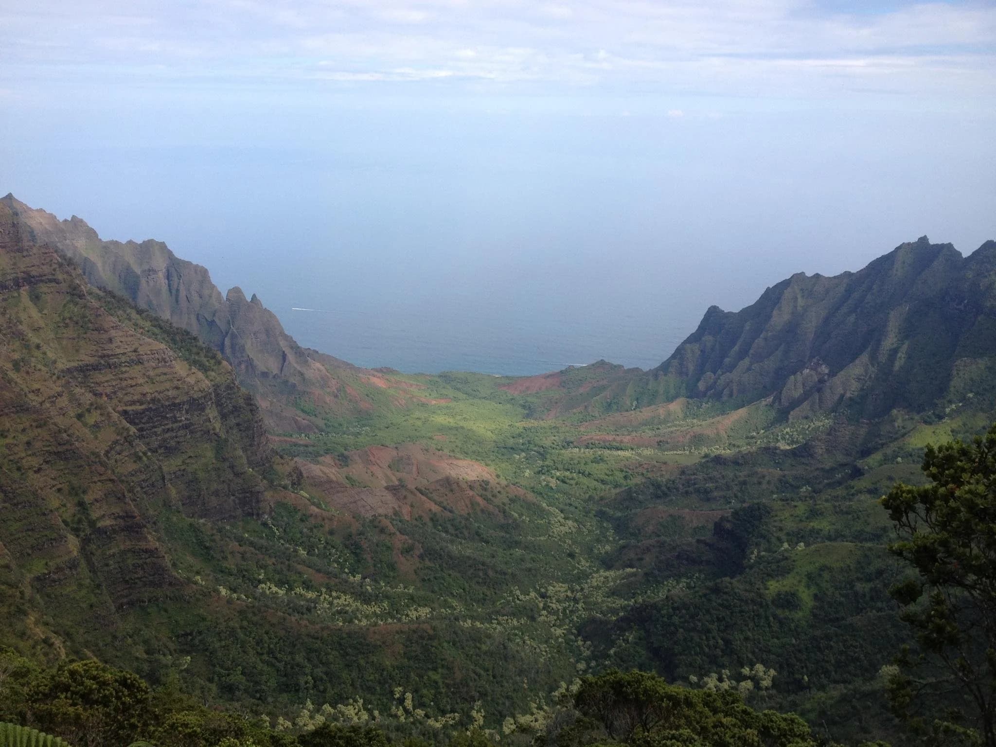 Makaliʻi Metrics soil sampling and laboratory work in Hawaiʻi