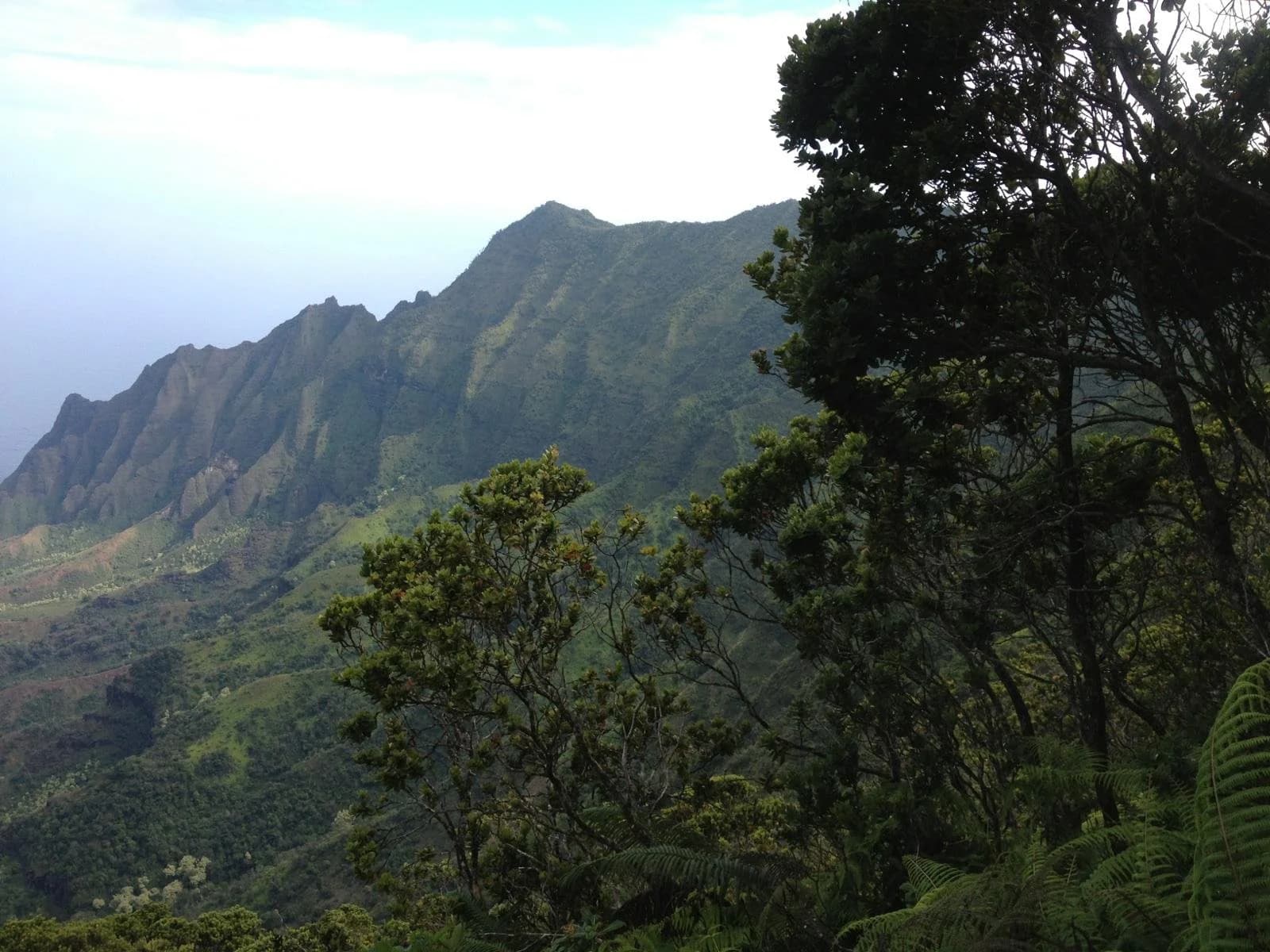 Soil sampling and testing services in Hawaiʻi