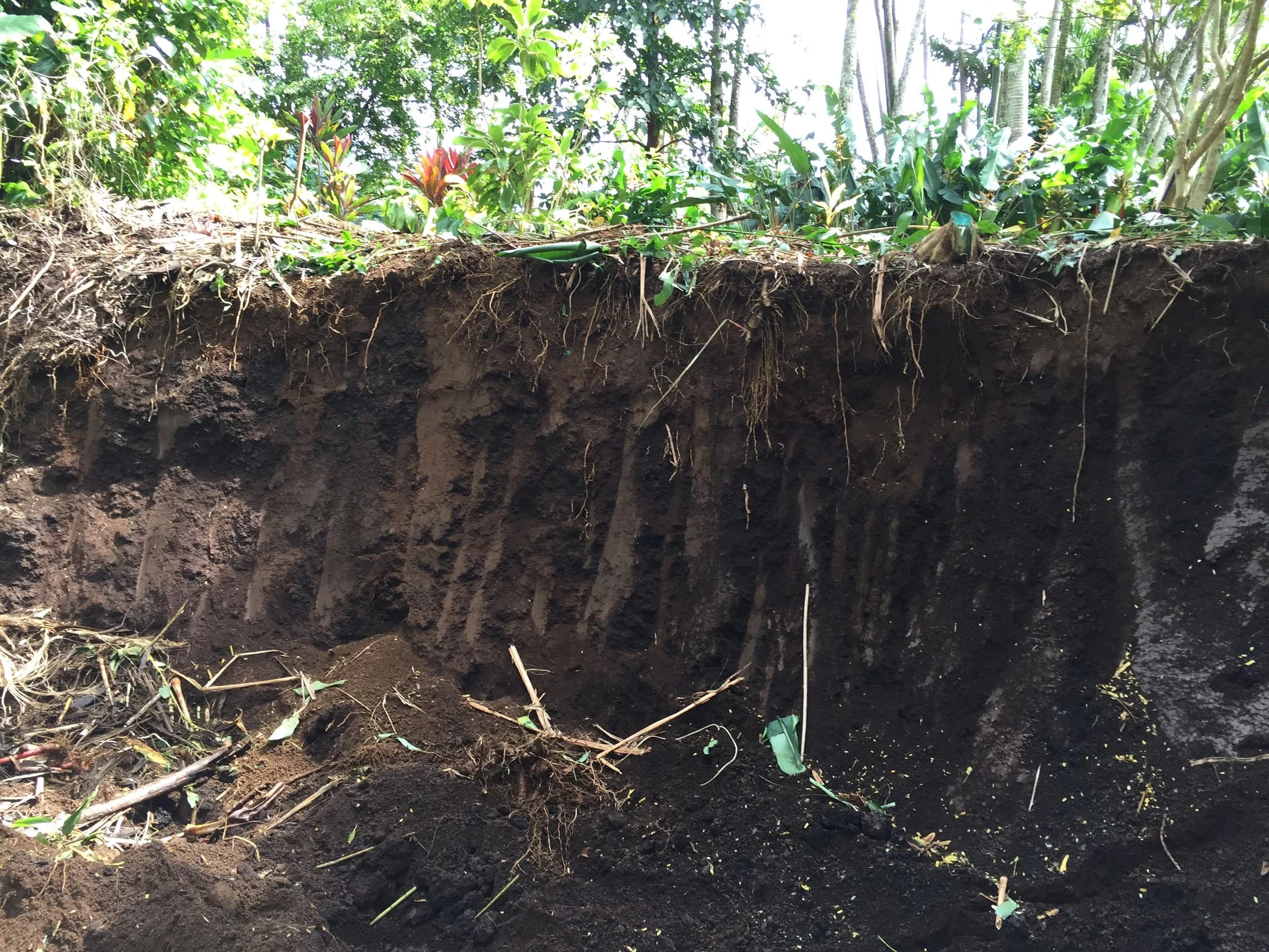 The Makaliʻi Metrics team working in the field and lab across Hawaiʻi